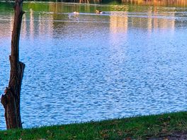 Lakeside