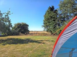 One of the views from the orchard pitch site.