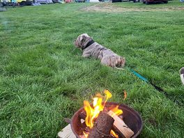 Nothing better than a campfire in the evening...