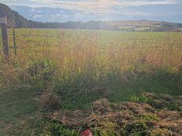 Bliss after work views