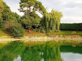 Amazing scenery