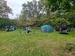 Pitches in the clearing