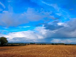 Looking west...