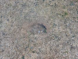 Holes in floor
