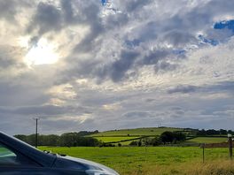 Lush view