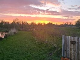 Sunning sun sets.