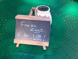 Eggs for sale