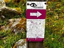 Ruta