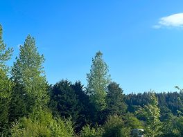 Beatiful day.