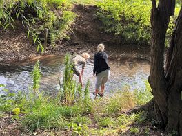 The stream flows around the borders of the site and was great to explore