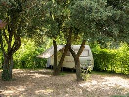 Caravan pitch under the trees