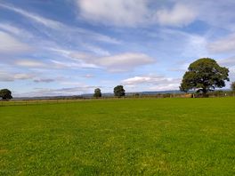 Lovely views. sun all day on every pitch when it's out 😁
