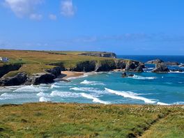 Wild scenery