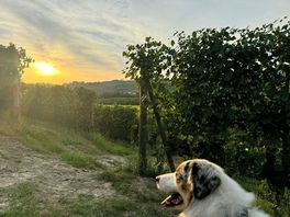 Zonsopgang