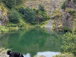 Rosebush quarry