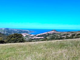 View from our tent