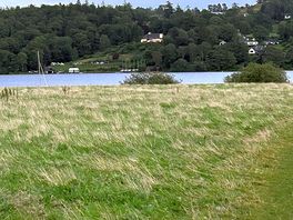 View of lake
