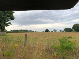Morning view from our bed.
