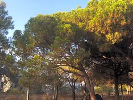 Morning at the campsite