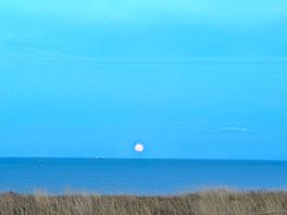 View of the moon