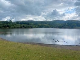 Lovely walk with dog around reservoir