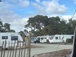 Busy site