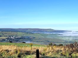 Views on a walk