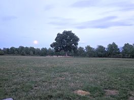 Spacious field