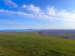 See the sea