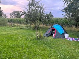 Put up your tent in Lisi Grüns Garden
