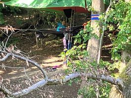 Buzzard tent