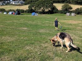 Site that is dog friendly and large