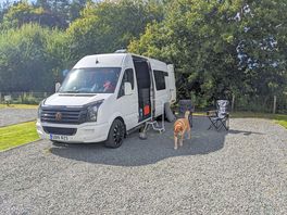 Loads of space on the pitch. next time we'll bring our pop up awning