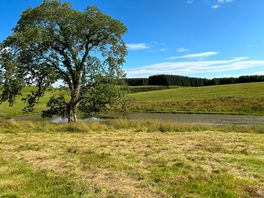 Our pitch at the pond