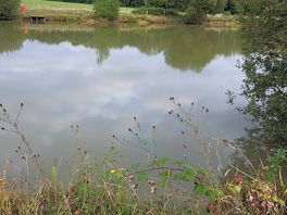 Lake side view.
