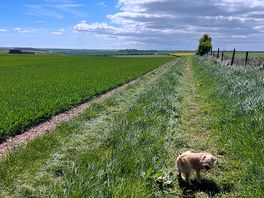 Out walking
