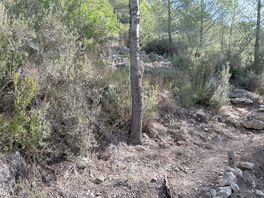 View from camp site