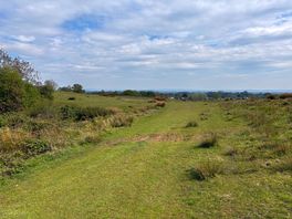 The common