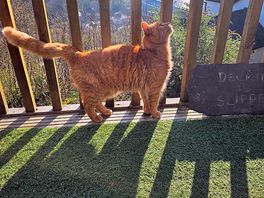 Duke getting his instagram poses on