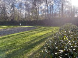 Around the site