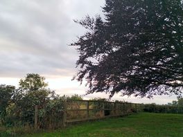 Beautiful evening.