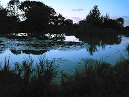 The pond at night