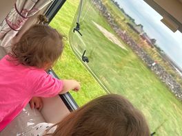 Cows outside the window!