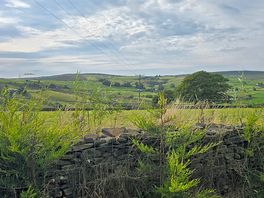 The view from my van