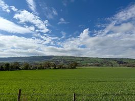 Stunning views