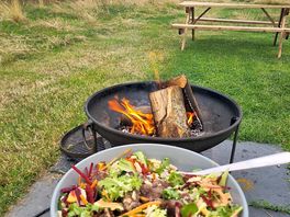 Lazy jane fire pit dinner