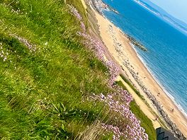 What a beautiful coastline