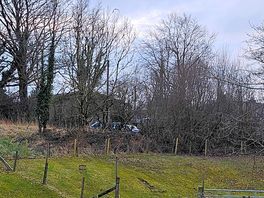 Spot if bird watching
