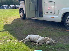 Enjoying a peaceful afternoon on site