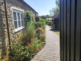 Path as you step out